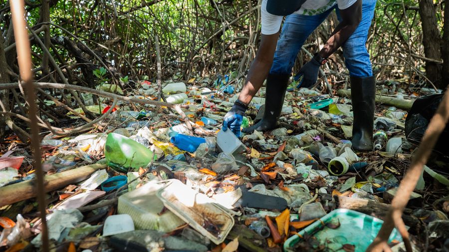 River pollution, river waste, clean river, beach cleanup