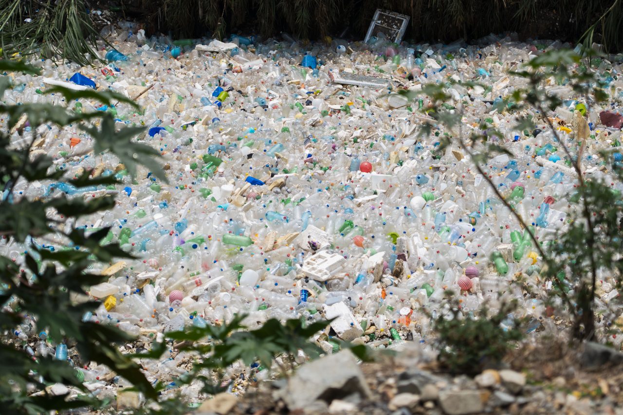 River pollution, river waste, clean river, beach cleanup