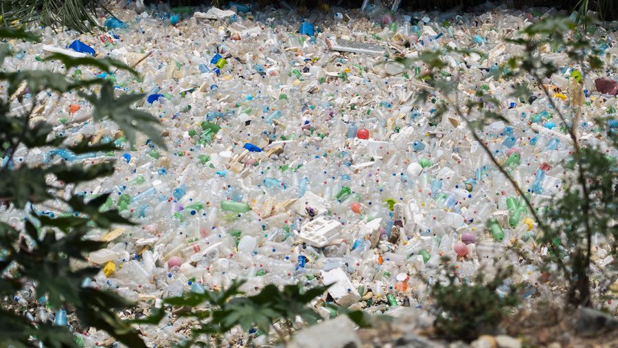 River pollution, river waste, clean river, beach cleanup