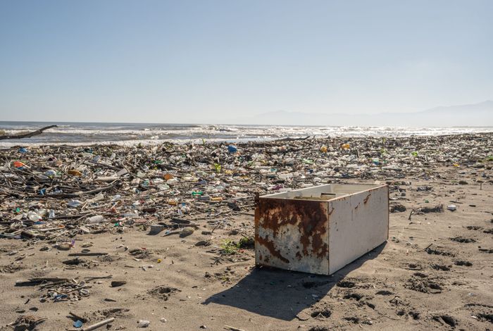 Coastal sweep, river pollution, river plastic, beach cleanup